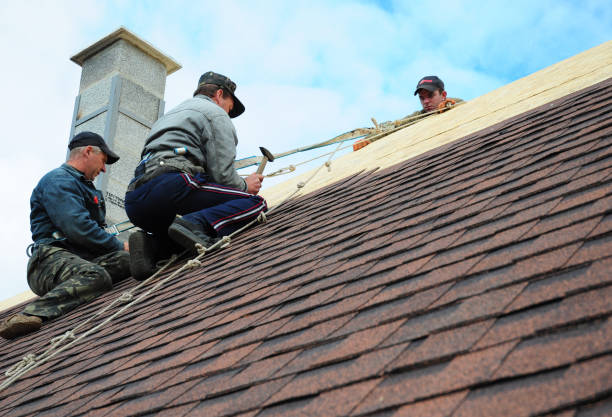 Best Roof Gutter Cleaning  in India Hook, SC